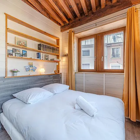 Charming Duplex With Panoramic View Of Cordeliers Daire Lyon